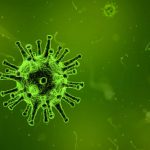 Sales Proposals Copy and Paste is a Virus